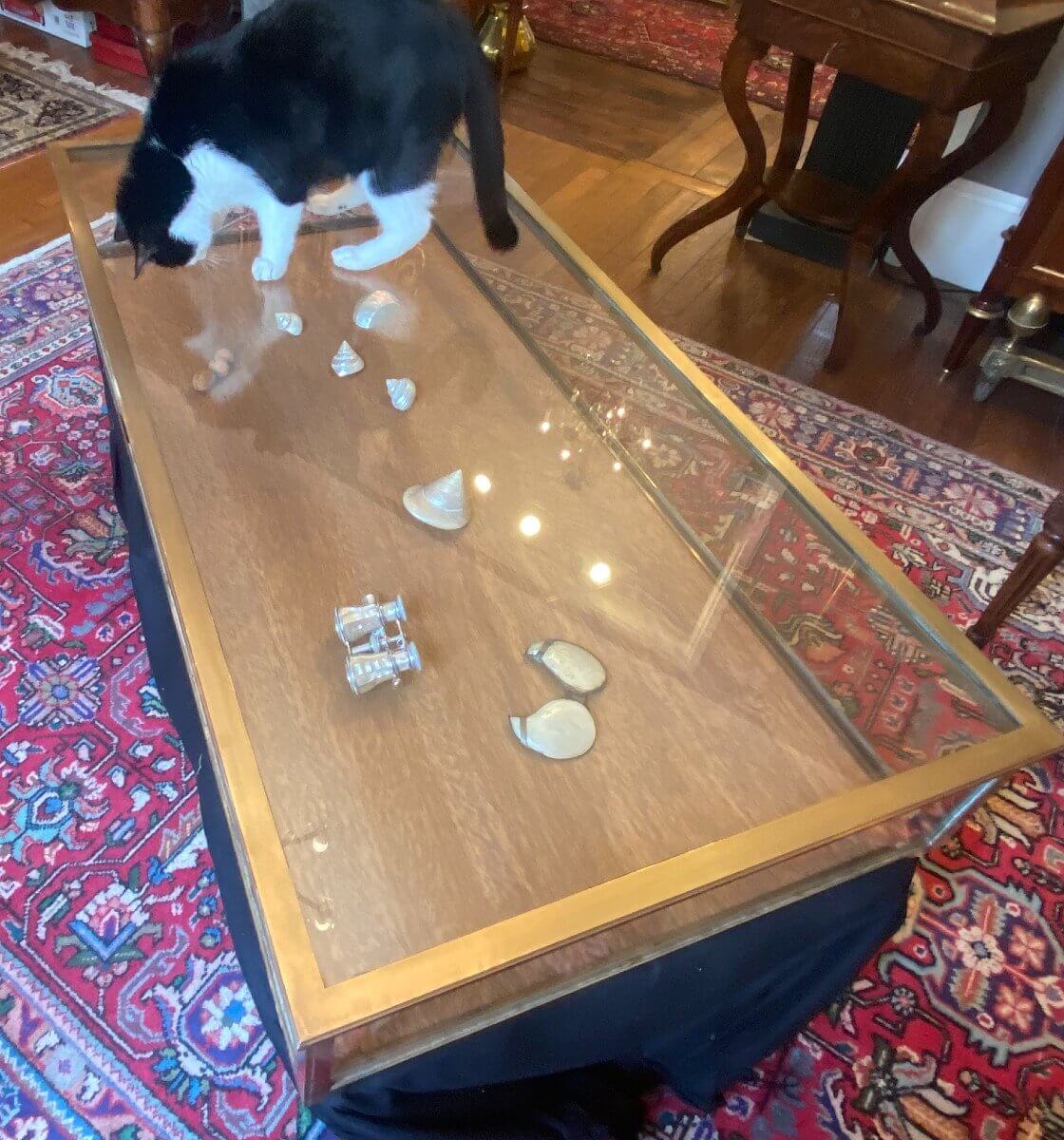 Vitrine Plate