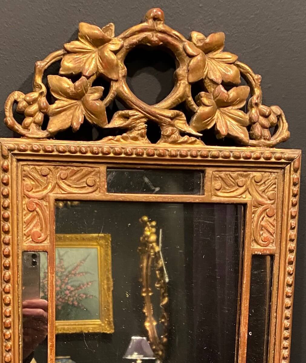 Petit Miroir à Pareclose