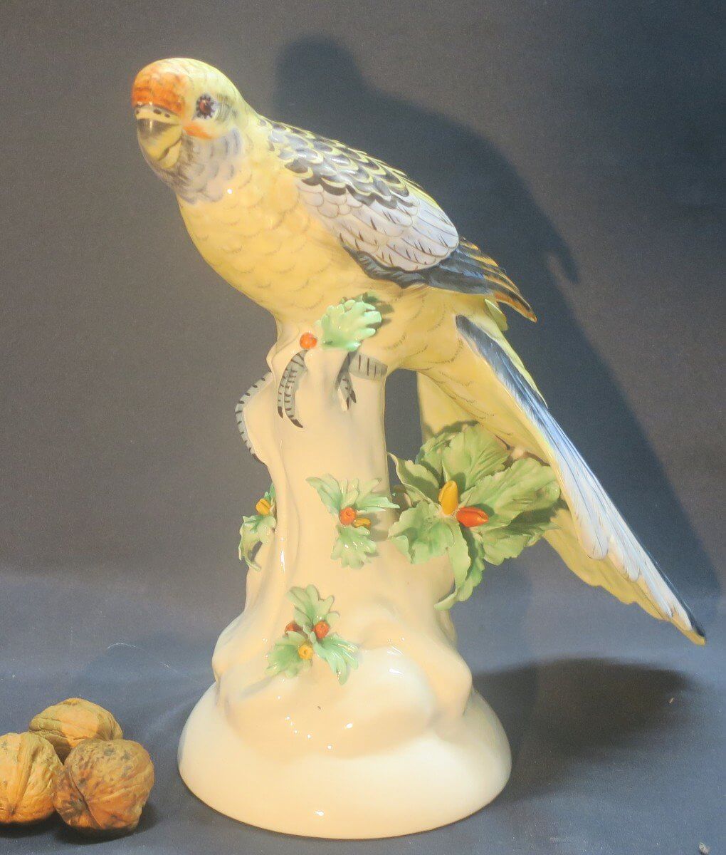 Perroquet  Capodimonte