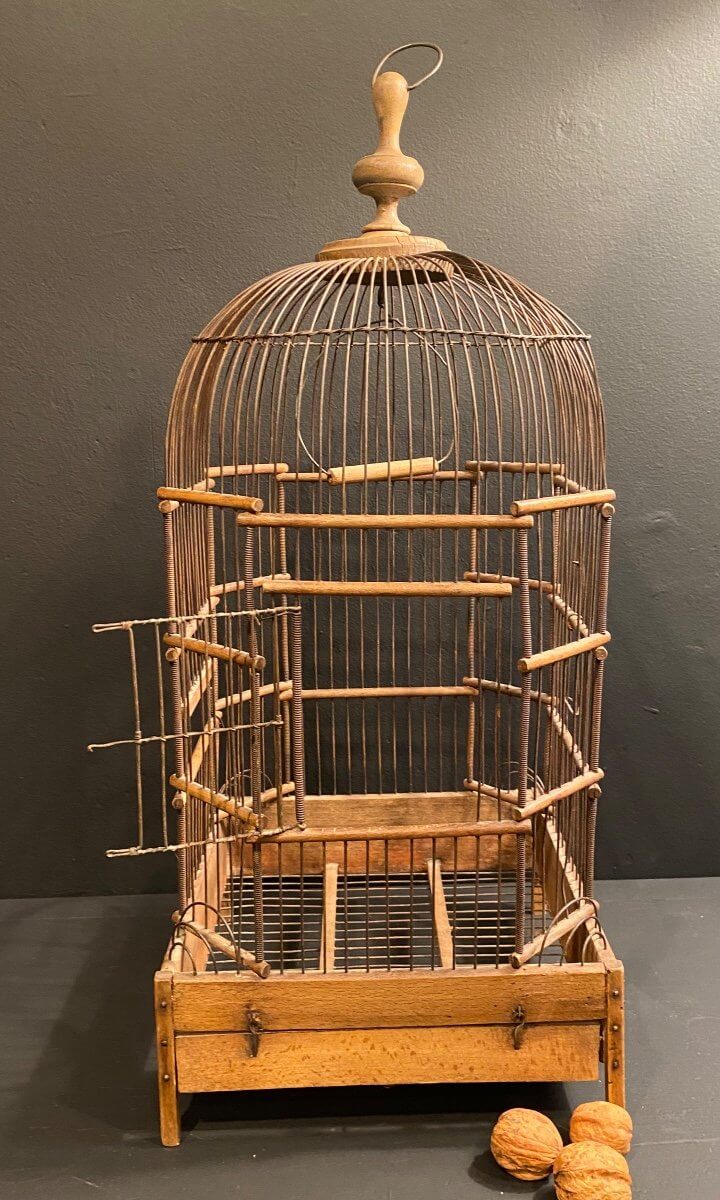 Cage à Oiseaux